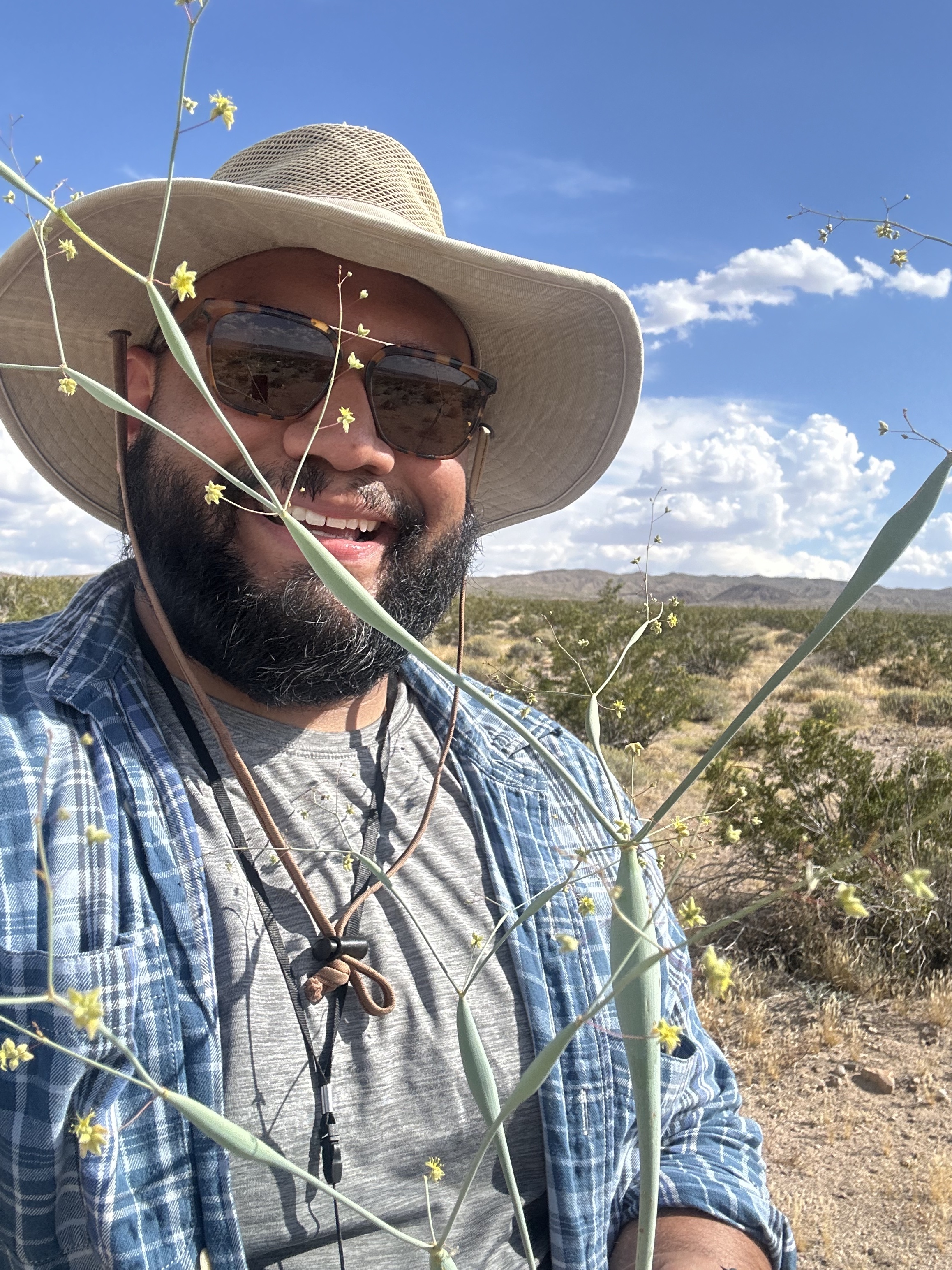 Person holding a plant in the desert